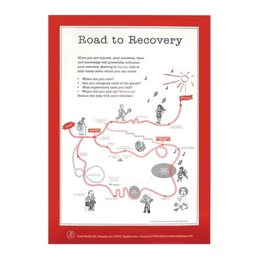 Load image into Gallery viewer, OPTP Explain Pain Poster Collection