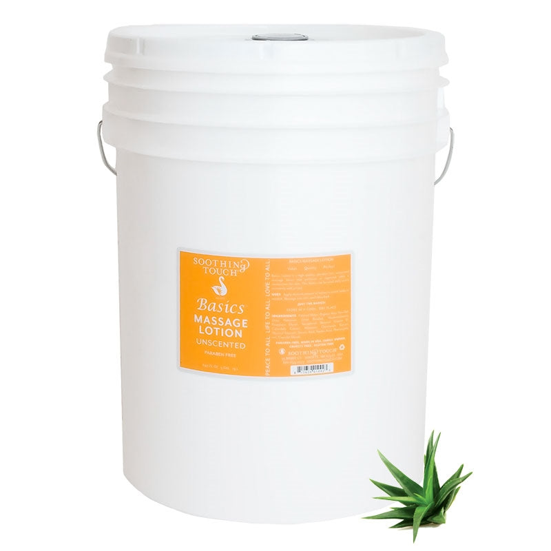 Load image into Gallery viewer, Soothing Touch Basics Massage Lotion