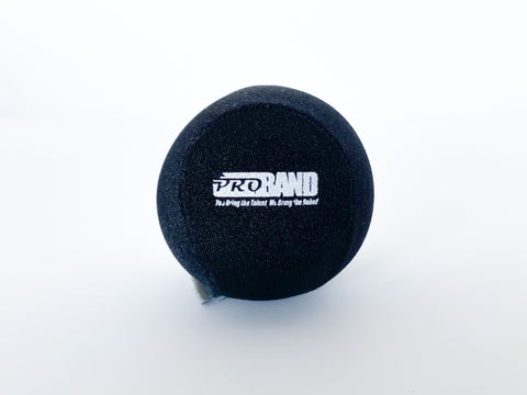 Load image into Gallery viewer, ProBand® Therapeutic Exercise Ball