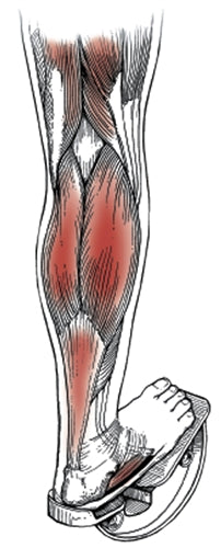 Load image into Gallery viewer, Medi-Dyne ProStretch Wooden, Single