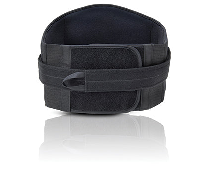 Prolite Lo-Plus Lumbar Support