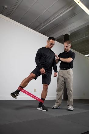 Load image into Gallery viewer, TheraBand Professional Latex Resistance Band Loop