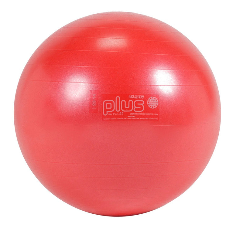 Load image into Gallery viewer, Gymnic® Plus Exercise Balls