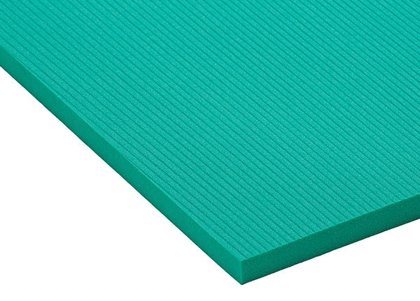 Load image into Gallery viewer, Airex Hercules Exercise Mat