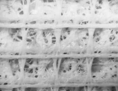 Load image into Gallery viewer, Mueller Thor™ Tape