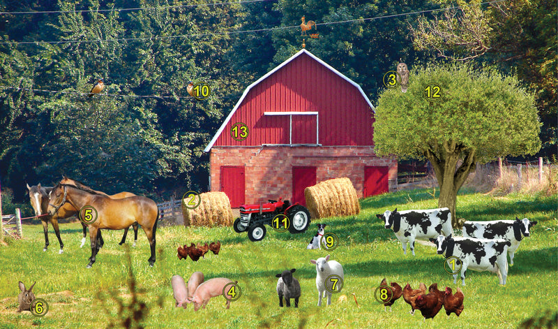 Load image into Gallery viewer, SkiL-Care Gel-Foam Recognition Pads