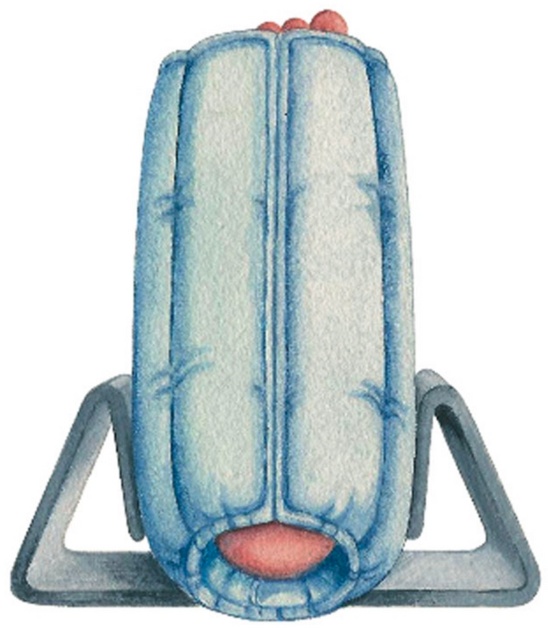 Load image into Gallery viewer, SkiL-Care Bilateral Anti-Rotation Gripper/Stabilizer