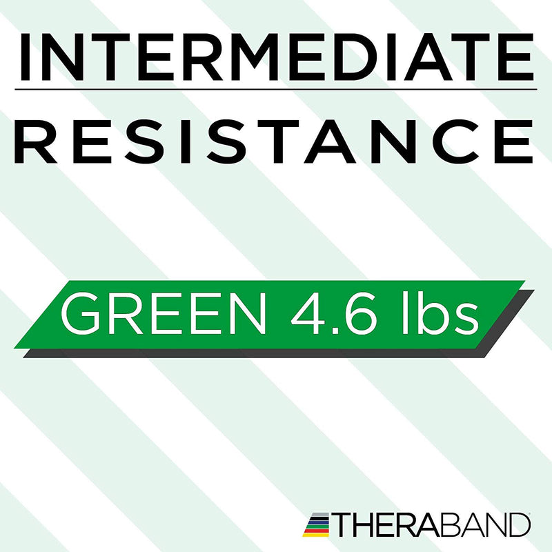 Load image into Gallery viewer, TheraBand Professional Latex Resistance Band Loop