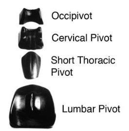 Magister Pivotal Therapy System