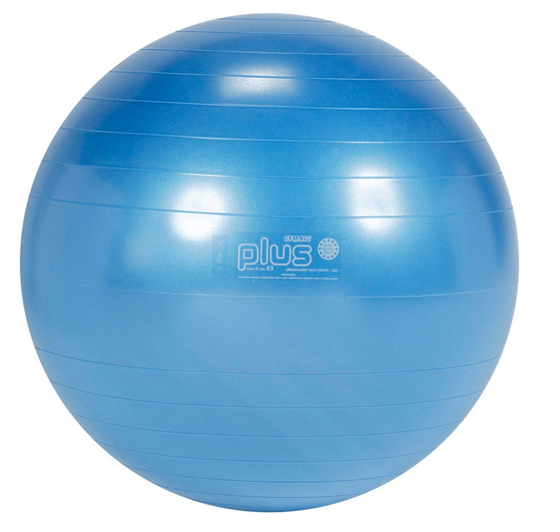 Load image into Gallery viewer, Gymnic® Plus Exercise Balls