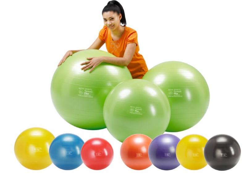 Load image into Gallery viewer, Gymnic® Plus Exercise Balls