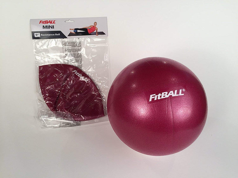 Load image into Gallery viewer, FitBALL Mini Exercise Ball (9 inch)