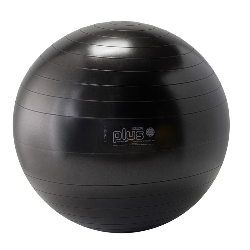 Load image into Gallery viewer, Gymnic® Plus Exercise Balls