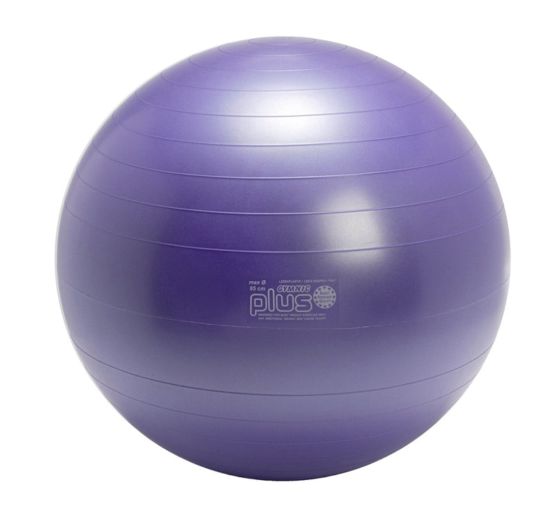 Load image into Gallery viewer, Gymnic® Plus Exercise Balls
