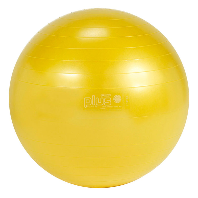 Load image into Gallery viewer, Gymnic® Plus Exercise Balls
