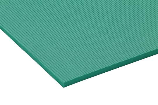 Load image into Gallery viewer, Airex Atlas Exercise Mat
