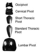 Magister Pivotal Therapy System