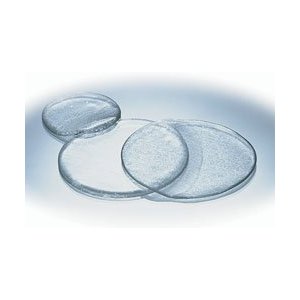 Silipos Body Disc